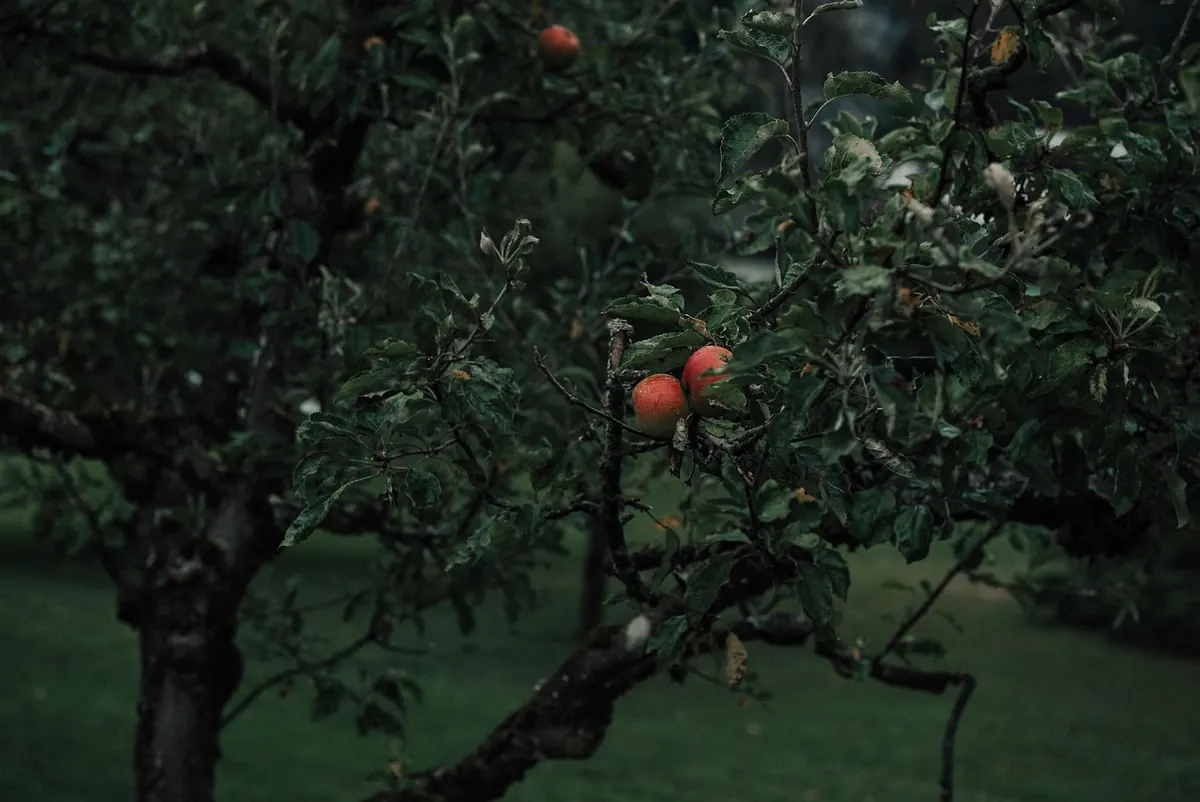 Wind, Rain, and Sun: How to Protect Outdoor Garden Decor Year-Round